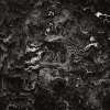 LOUIEJAYXX - Error