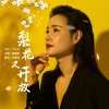 王紫菲 - 梨花又开放