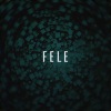 FELE、Felix Thanei - Bright Darkness (Instrumental)
