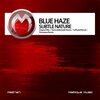 Blue Haze - Subtle Nature