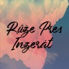minami - Růže přes inzerát