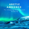 Natural Sounds Selections、Zen Sounds、Nature Sound Collection - Arctic Storm