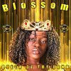 Blossom - Falling Apart (Explicit)