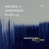 Spectrum A - Mindblowing (Original Mix)