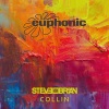 Steve Brian《Collin》[MP3/LRC]