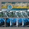 Philippe Lhommet - Cycle of Life