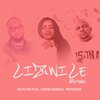 Sandra Ndebele、Professor、Solyd The Plug - Lizwile (Remix)