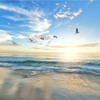 Sleep Sounds of Nature、Ocean Sounds FX、Epic Soundscapes、Nature Therapy - OCEAN SOUNDS: Mediation and Sleep Music, Pt. 1