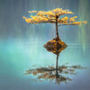 Sleep Sounds of Nature、Ocean Sounds FX、Nature Therapy - Nature Sounds for Peaceful and Centered Meditation, Pt. 1