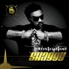 Shaggy - Cant Hold Me