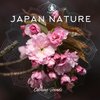Relaxation Meditation Songs Divine - Birds Song