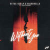 Aytac Ozalp、Nickobella、Albin Hasani - Without You