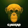 Devize Beats、Devize - Ceasar