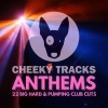 Boy Raver - Reckless Flake (Radio Edit)