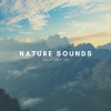 Natural Sounds、Natural Sounds Selections、Zen Sounds - Intro