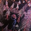 Facade、Jaycob、LK McKay、D-13、Payton Coyle - Debating