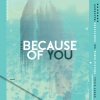 craig lucas、Robin Pieters、KrazyChris、Gameover、WS - Because of you Remix (feat. Craig Lucas, GameOver, KrazyChris & WS)(Remix)