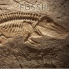 Jaycom、Taliesin《Fossil》[MP3/LRC]