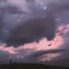 氧化TONG - Faded
