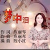 应丽琴 - 梦中泪 (抒情版)(Live)