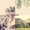 Morning Jazz Playlist - Glorious Music for Mornings