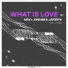 max + johann、Jayddyn、indiigo《What Is Love》[MP3/LRC]