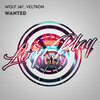 Wolf Jay、Veltron - Wanted (Extended Mix)