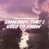 Parah Dice、Wally De Backer、Ege Balkiz - Somebody That I Used To Know
