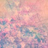 Project AER - Lark Rise