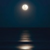 Michael Stimpson、Mark Bebbington、Royal Philharmonic Orchestra - Elegy from Silvered Night