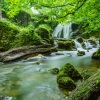 Mindfulness Meditation Universe、Rain Sounds Factory STHLM、Música Zen Relaxante - Pure Tranquillity