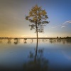 Rain and Nature、Deep Sleep Music Experience、Echoes Of Nature - Contemplations