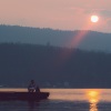 Rain Sounds & Nature Sounds、Zen、Nature Sound Collection、Zen - Whispers in the Wind