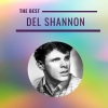 Del Shannon《So Long Baby》[MP3/LRC]