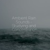 Thunder Storm、Calm Down、Buddhist Meditation Music Set - Holy Rains (纯音乐)