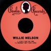 Willie Nelson - I Can't Find the Time