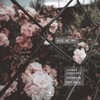 Rachel Leycroft、TH3 DARP、Cerberuh - All Of Me
