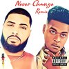 Pone Voleur - Never Change (remix|Explicit)