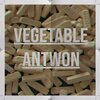Antwon - VEGETABLE (Explicit)