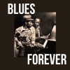 slim harpo - Got Love If You Want It