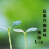 丽丽Lily - 往事只能回味