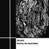 Pulses - Destroy the Dancefloor
