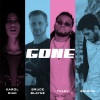 Karol Diac、Tuley、Scirica、Bruce Blayne - Gone