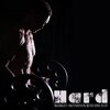 Workout Chillout Music Collection、Ibiza Chill Out、Running Hits - Positively I