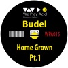 Budel - Low Back Pain