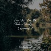 Relajante Musica、Lluvia、Ioga - Bosque Escondido
