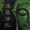 音抚 - 乘风破浪