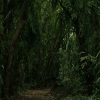 Soothing Nature Sounds、Relaxar Meditação Clube、Sleep Rain - Beach Day