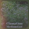James Davis - Clamation Mediumfast