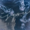 卡司宝贝 - Is You